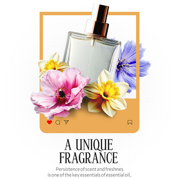 اسانس عطری عمده